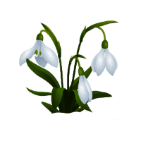 Наши садовые центры закрыты до весны 2026 года. Ждём вас в новом сезоне!