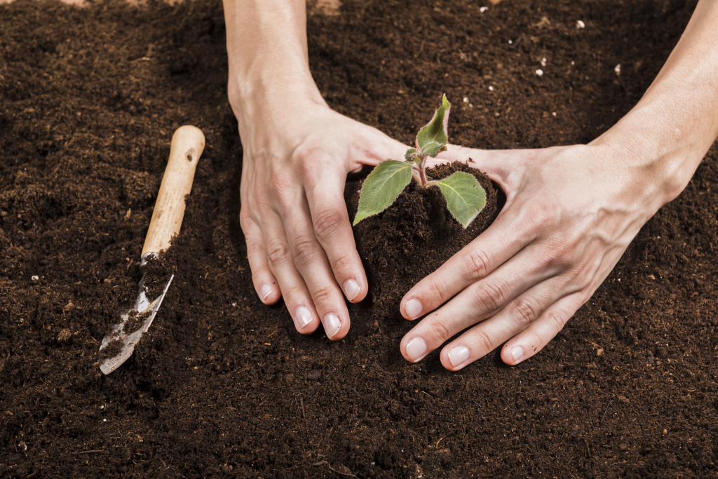 gardening-concept-with-female-hands.jpg