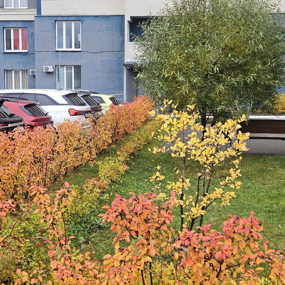 IMG_20251022_091950_085_1.jpg IMG_20251022_091950_085_1.jpg