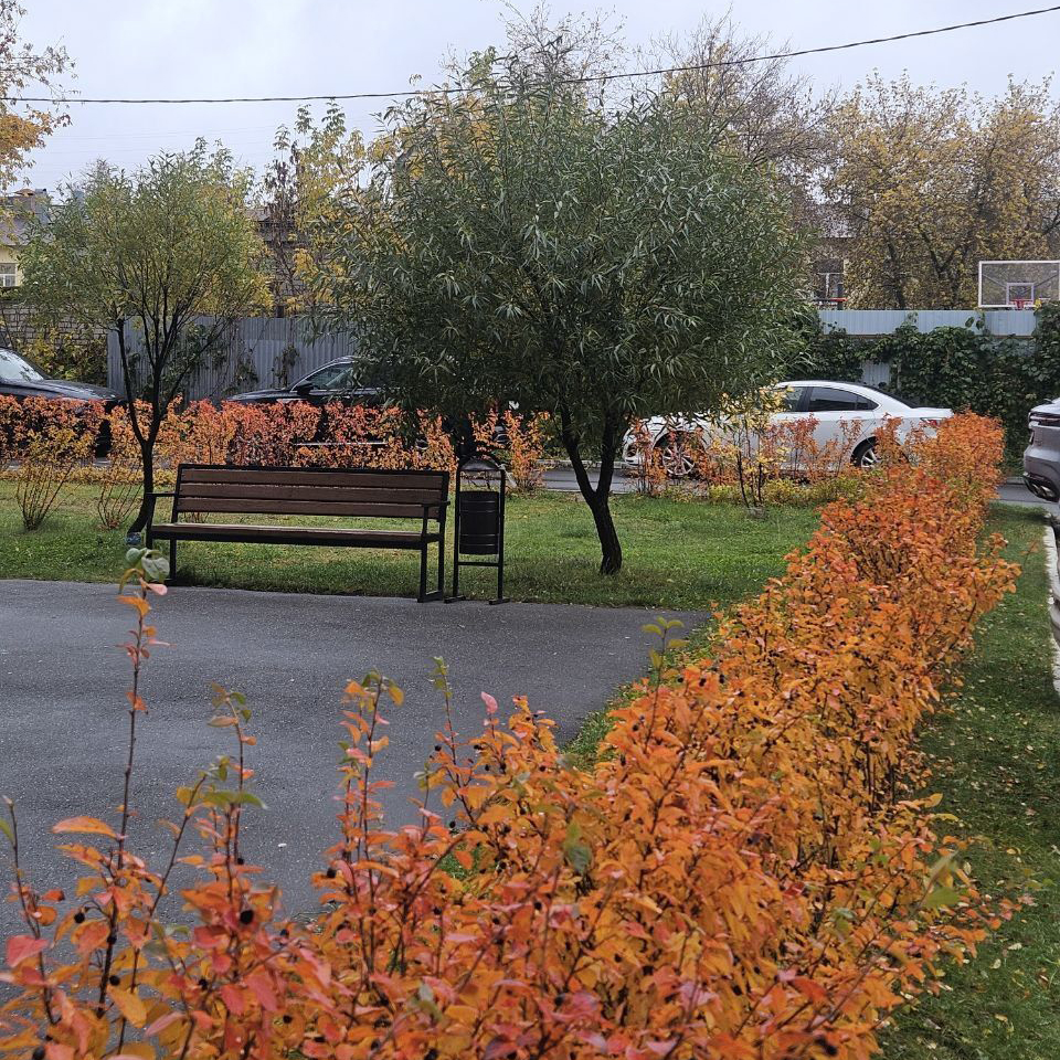 IMG_20251022_091950_952.jpg IMG_20251022_091950_952.jpg