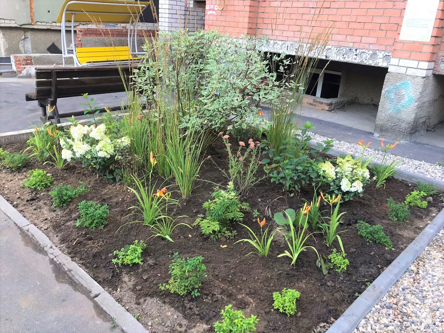 Озеленяя город