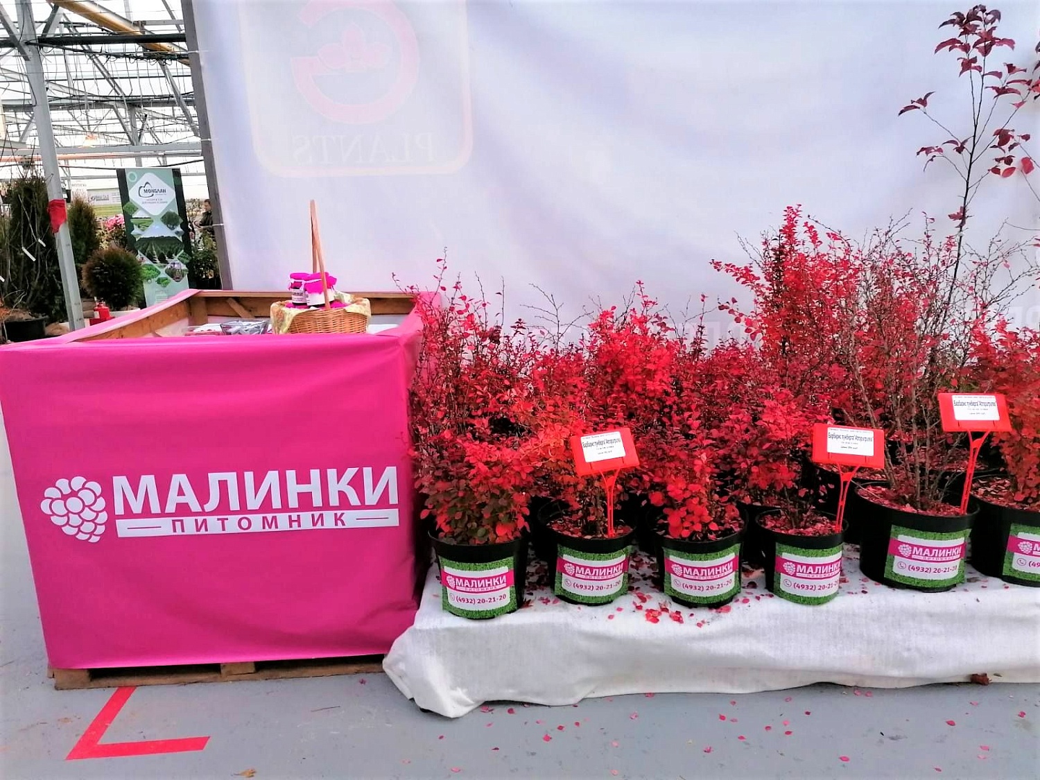 Выставка "Кооперация питомников 2021" открылась!